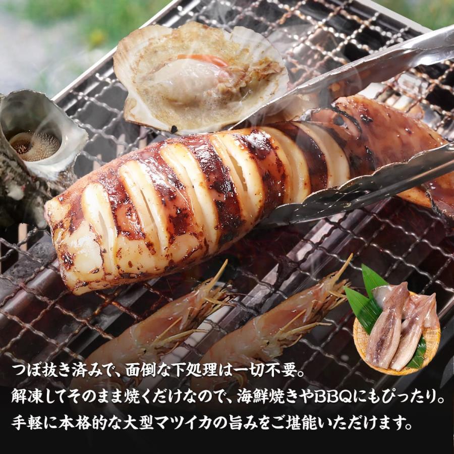 大振り　イカ